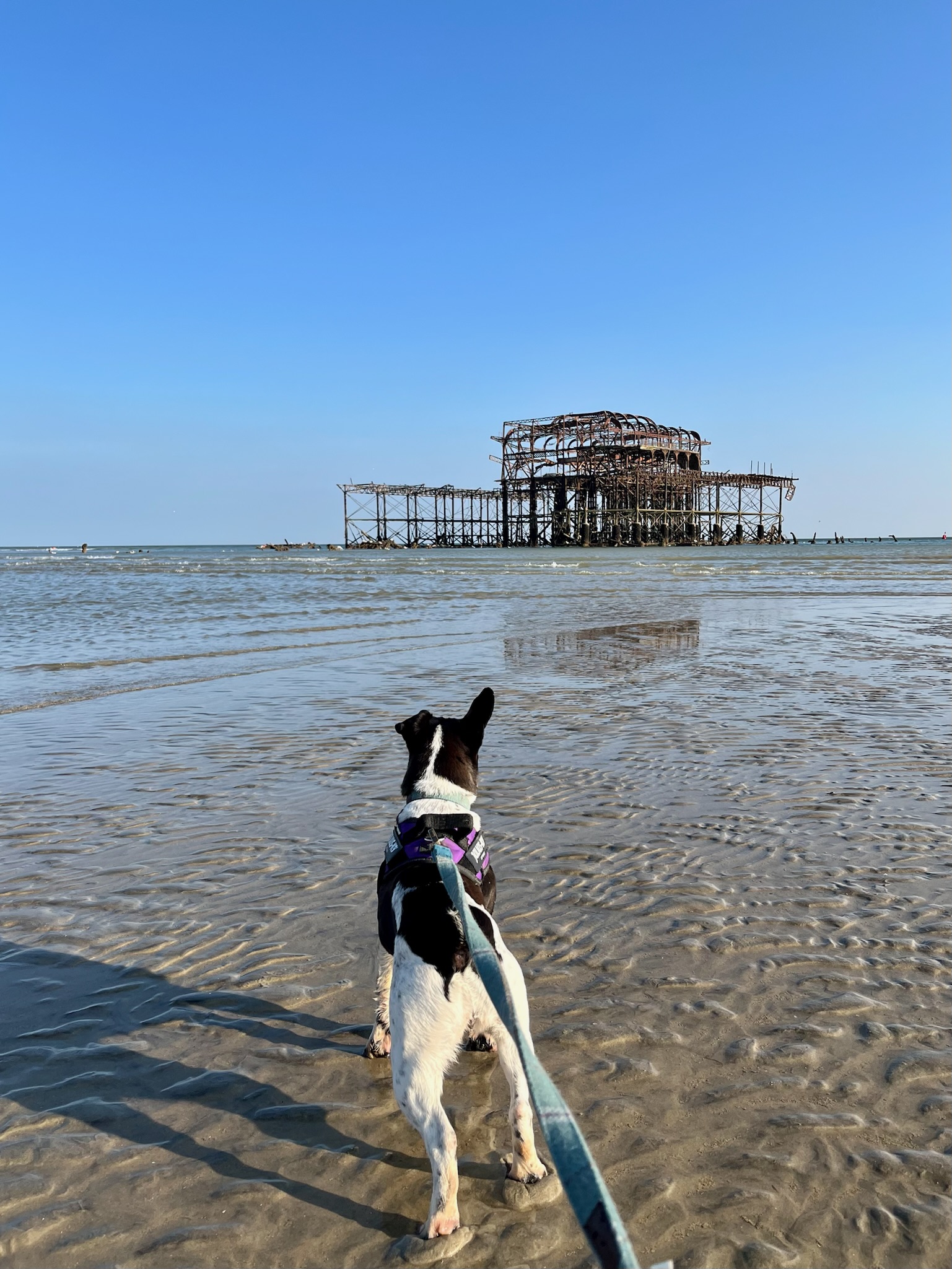 On the beach looking at the West Pier