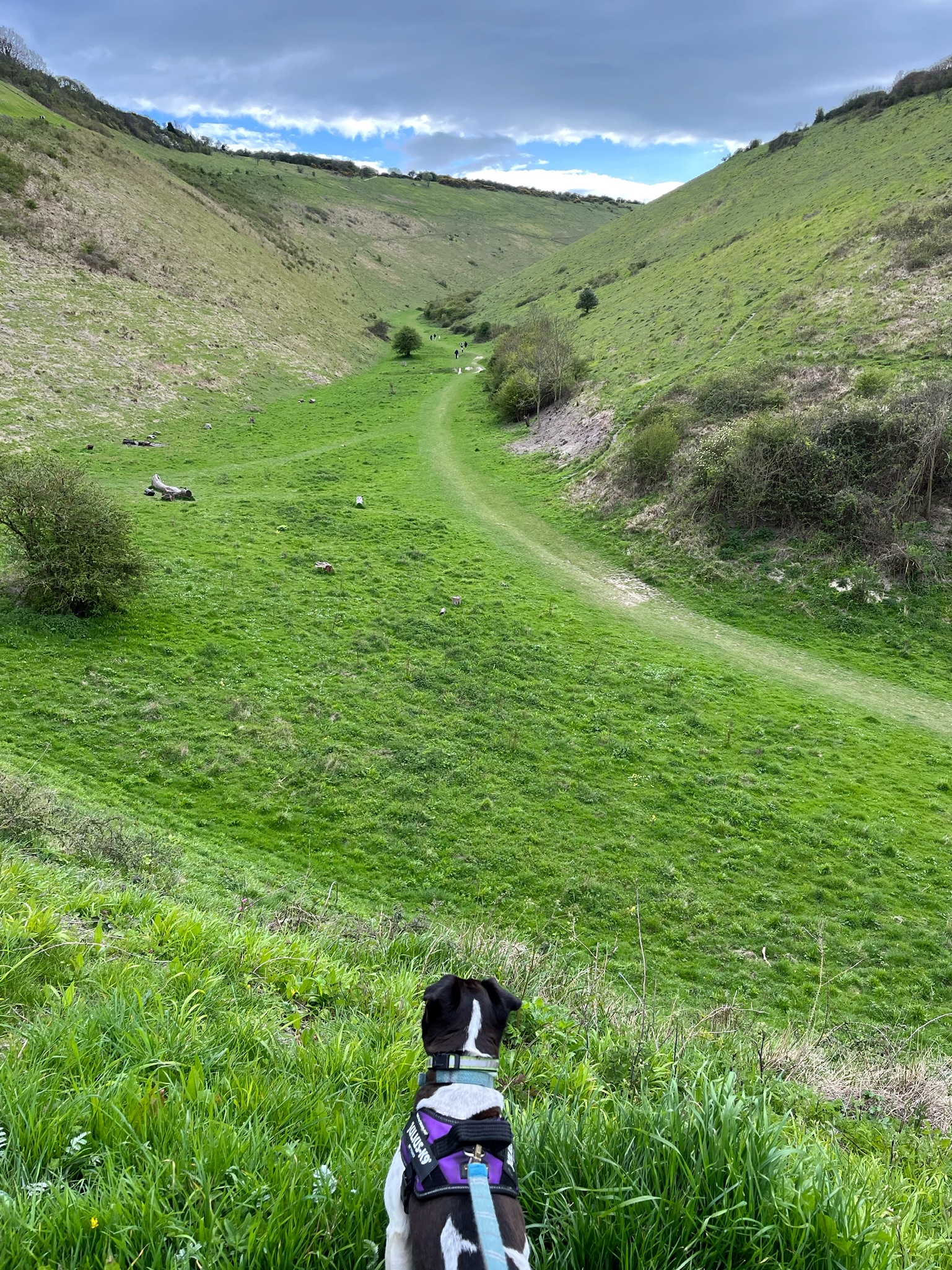 I went to Devil’s Dyke today