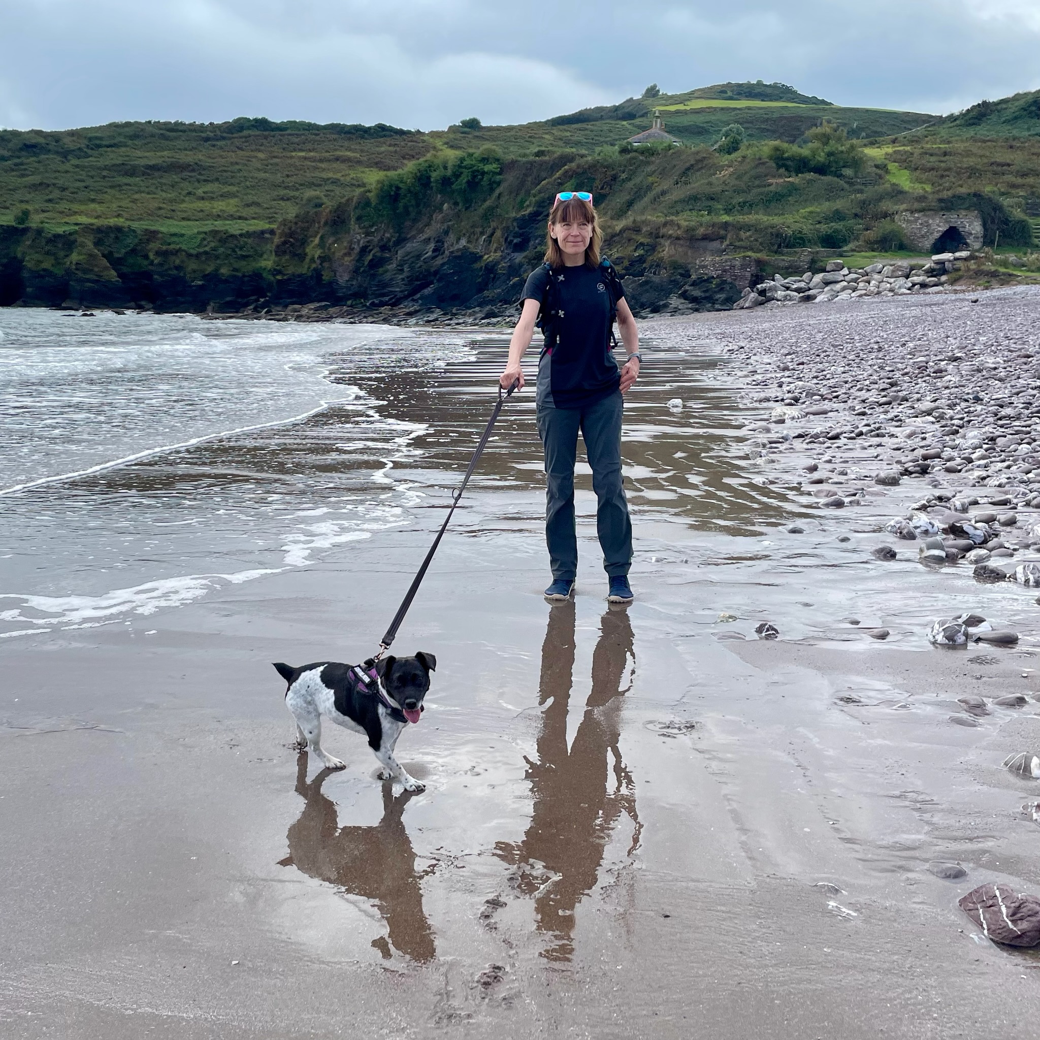 Dragging my humans along the South West Coast Path