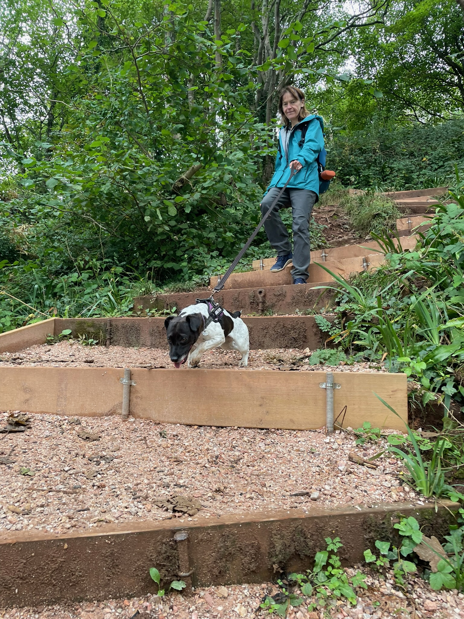 Another day, another opportunity to drag a human along the South West Coast Path