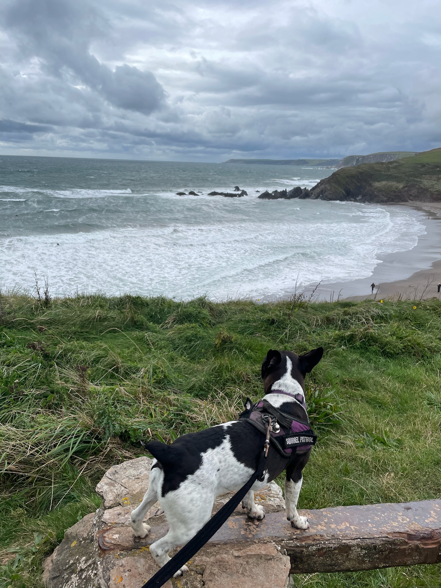 I also visited Challabrough Bay today