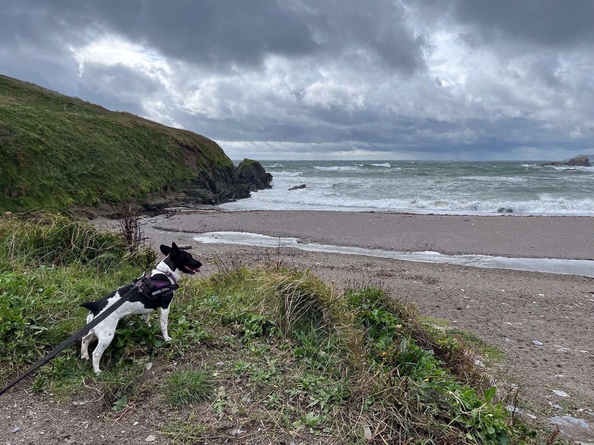 I visited Ayrmer Cove today