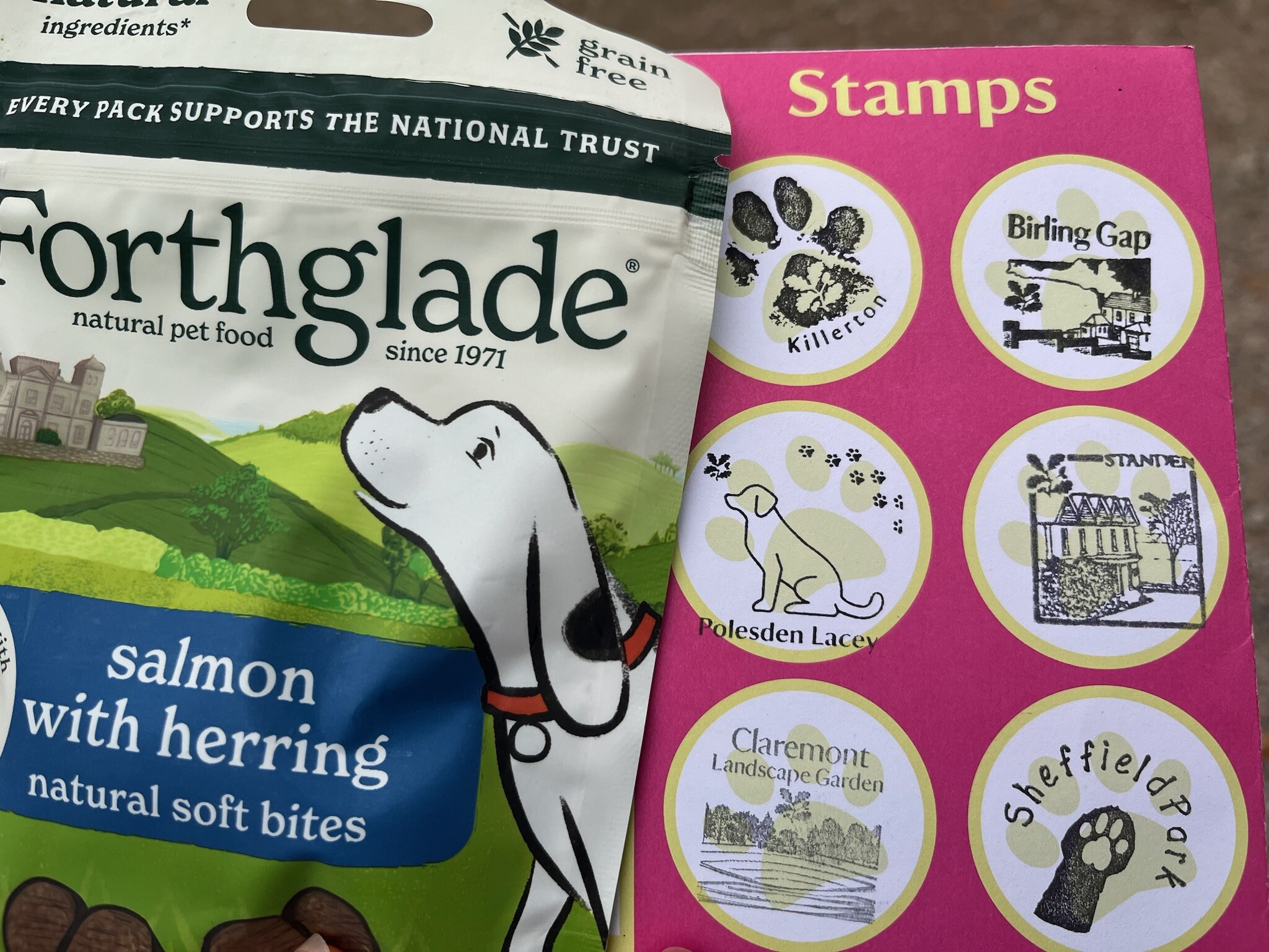 I got my 6th stamp in my Pooch Passport today. I’m looking forward to my treats 😋