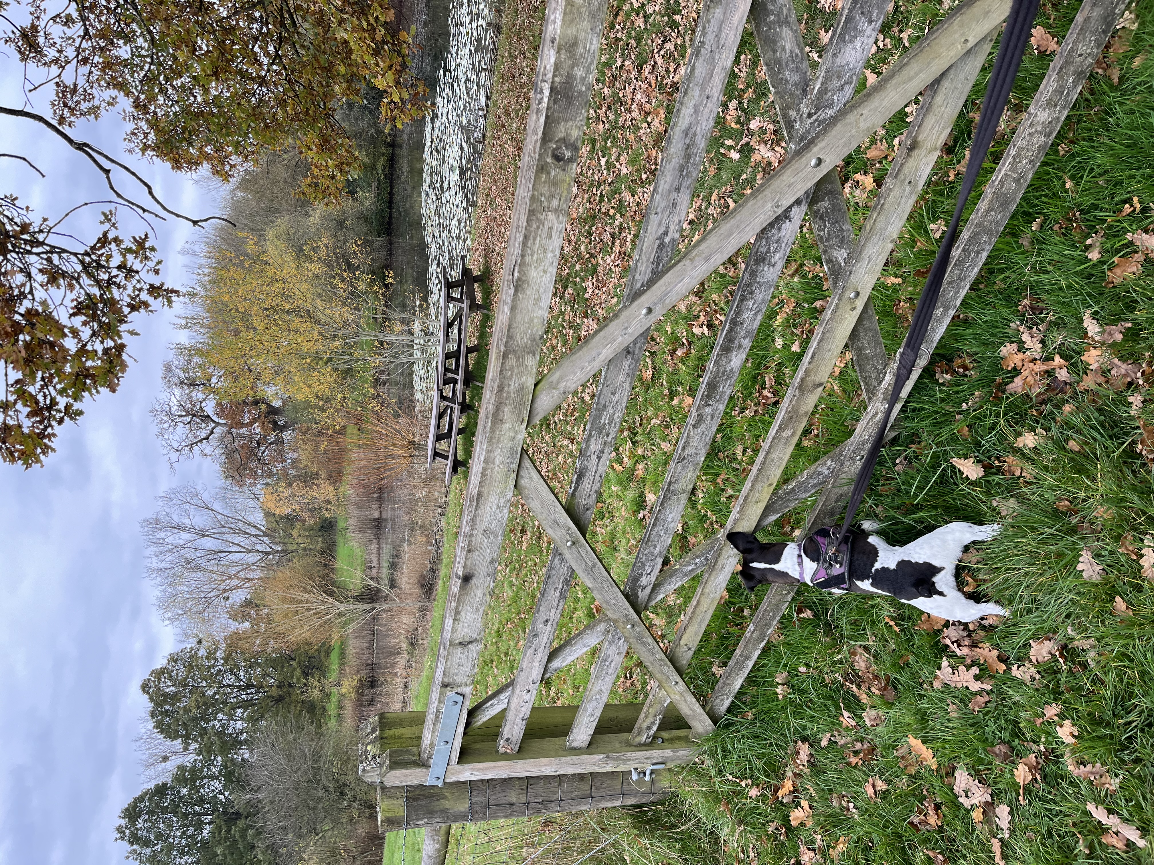 There are ducks at the other side of this gate… I can hear them 🦆