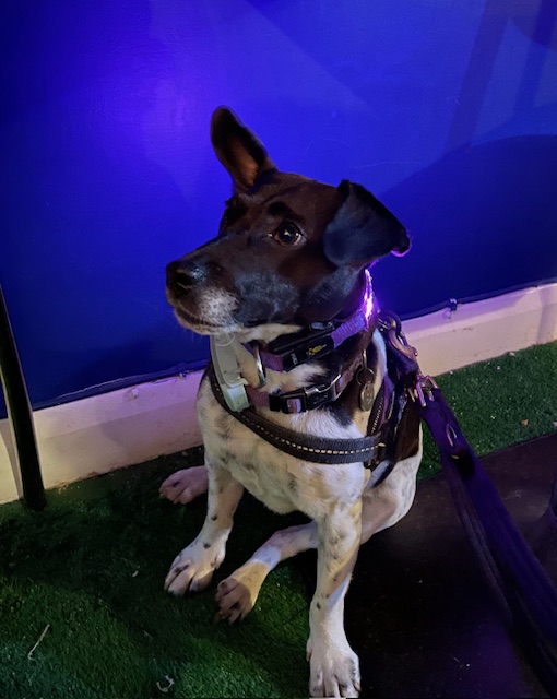 Being a good girl in the pub