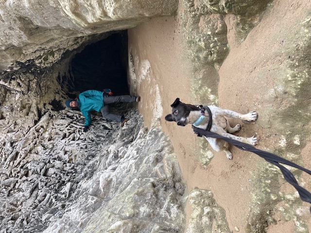 I went caving. The humans rescued me.