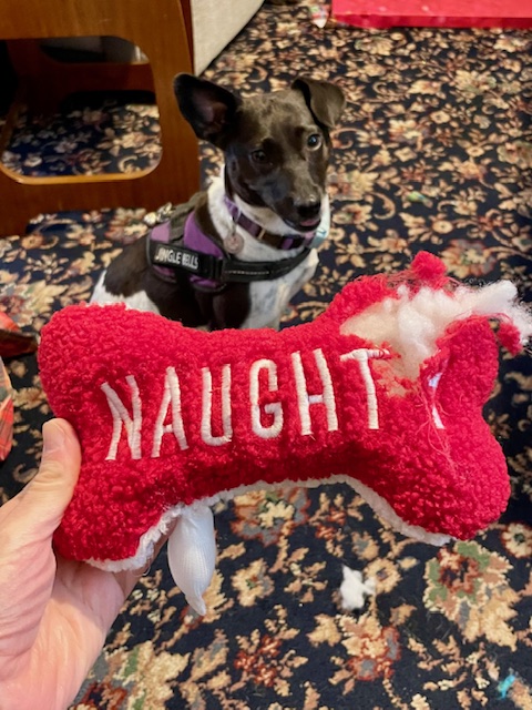 Plush naughty/nice toy breached in 2 seconds