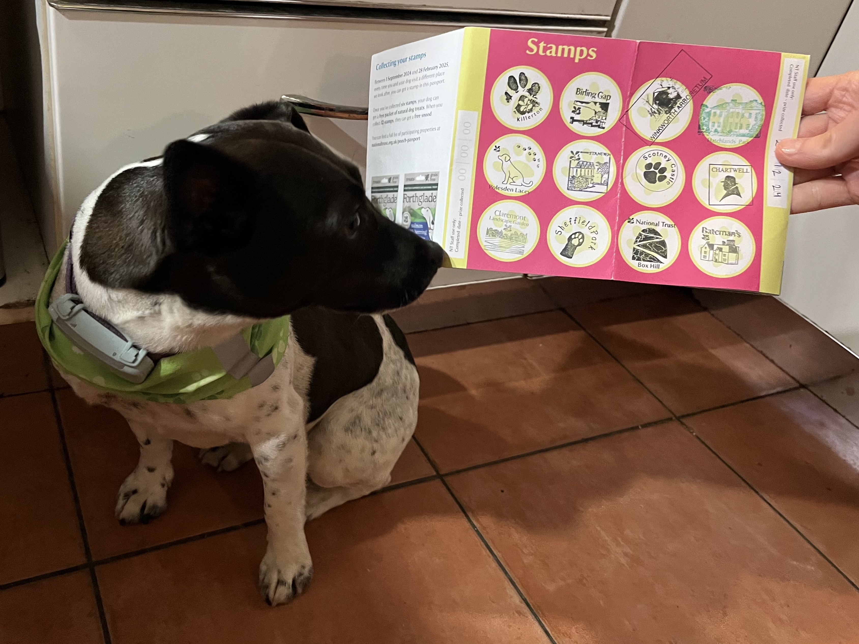 I completed my Pooch Passport and got a bandana to prove it 😍