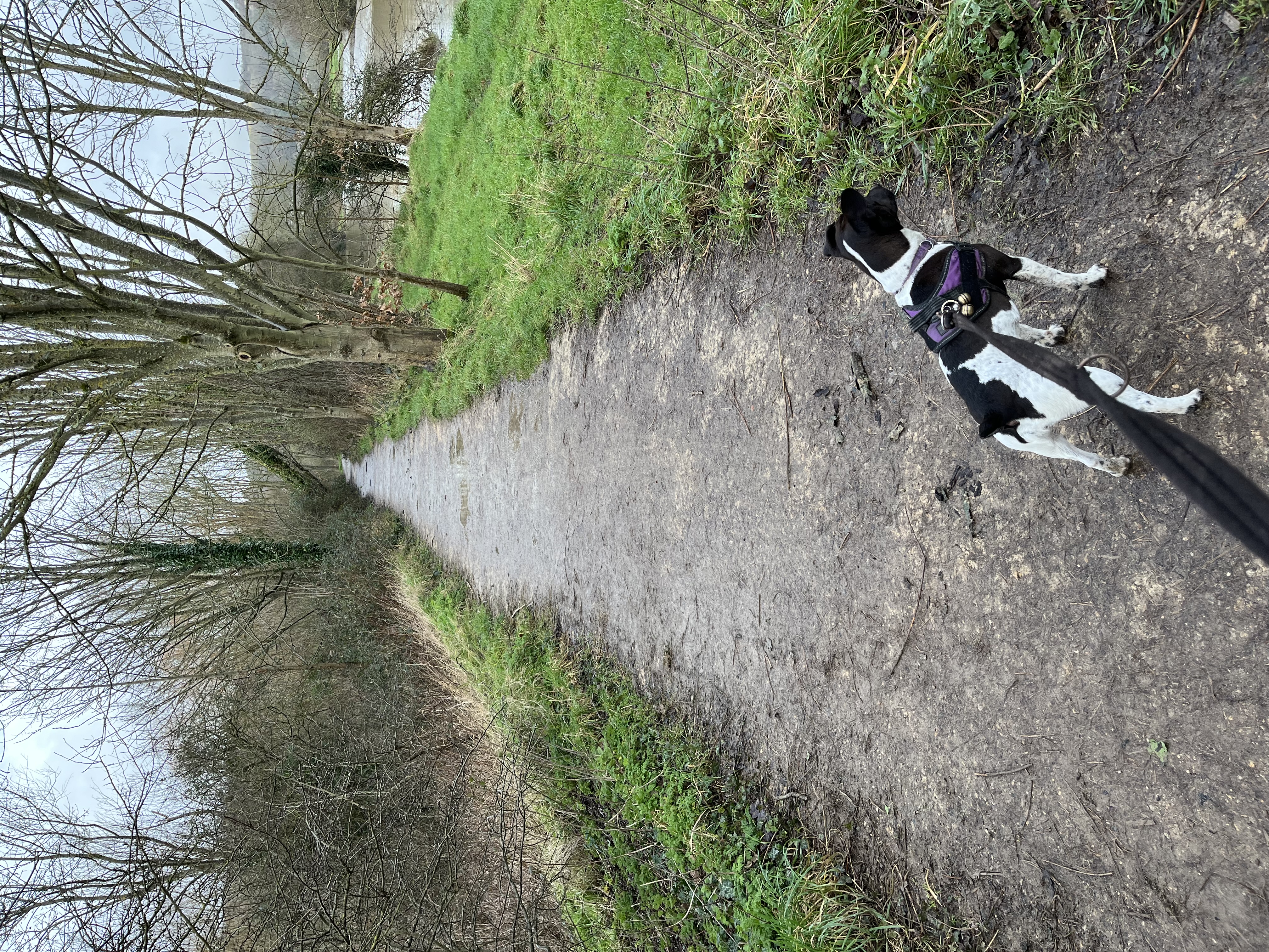 Going for an adventure near Lewes