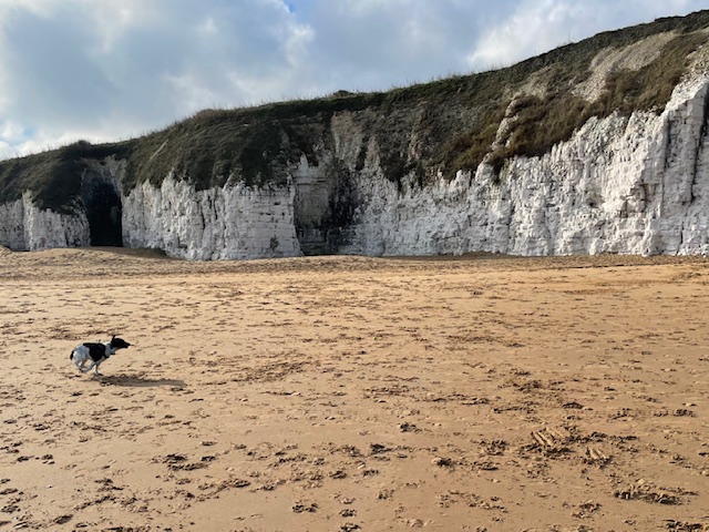 On the beach