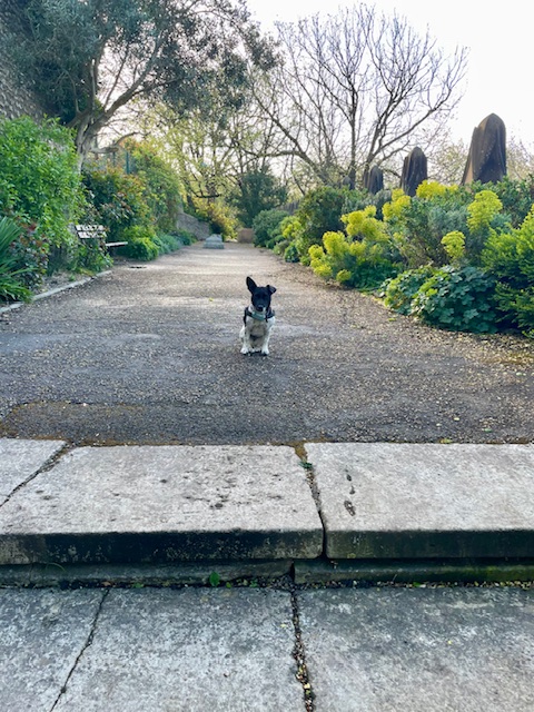 I’ve sniffed everything. Now what?