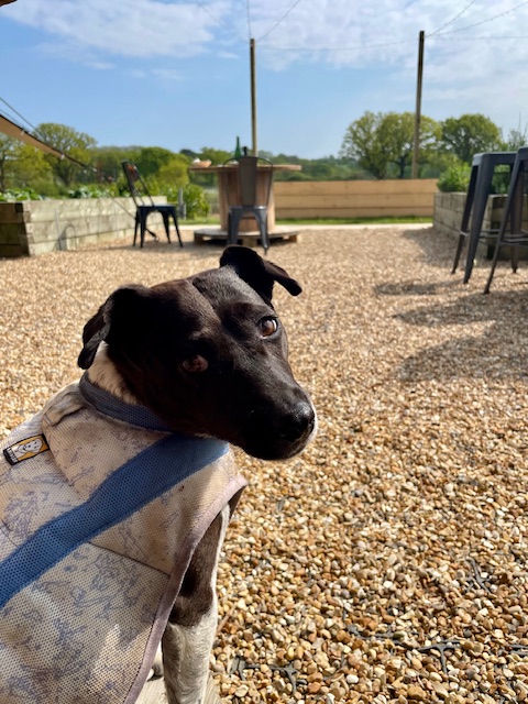 Talking a break at Kinsbrook Vineyard cafe
