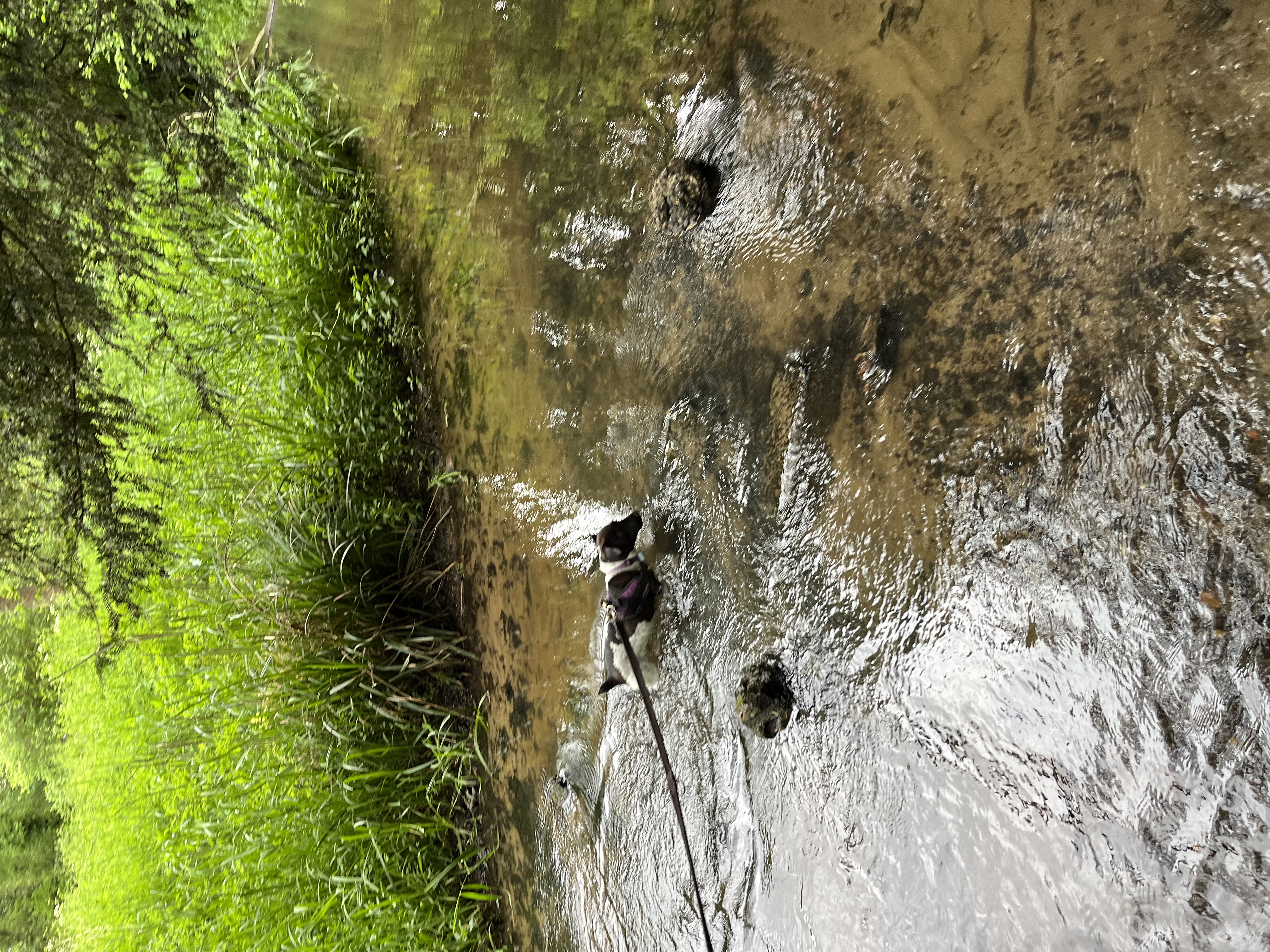 I’m in a stream