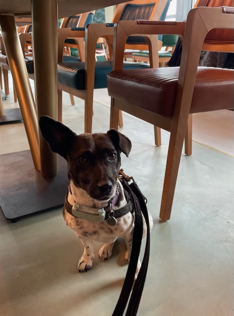 Being a very good girl at The Meeting Place Kitchen