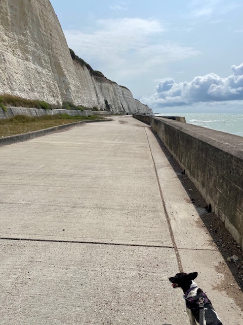 Did the under-cliff walk to Saltdean