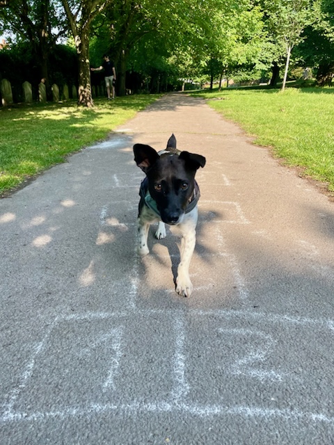 Playing in the park