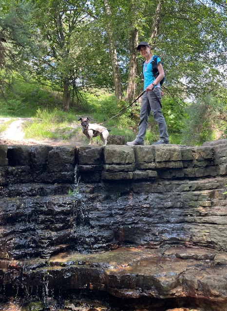 I crossed a tiny waterfall in Ashdown Forest