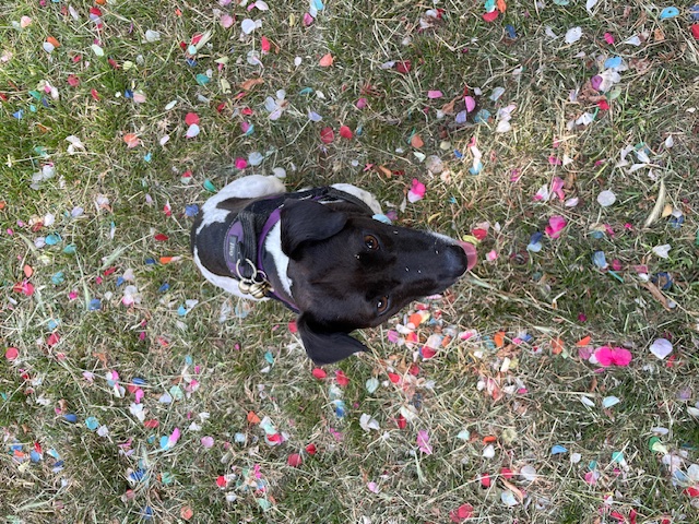 Found confetti outside the church