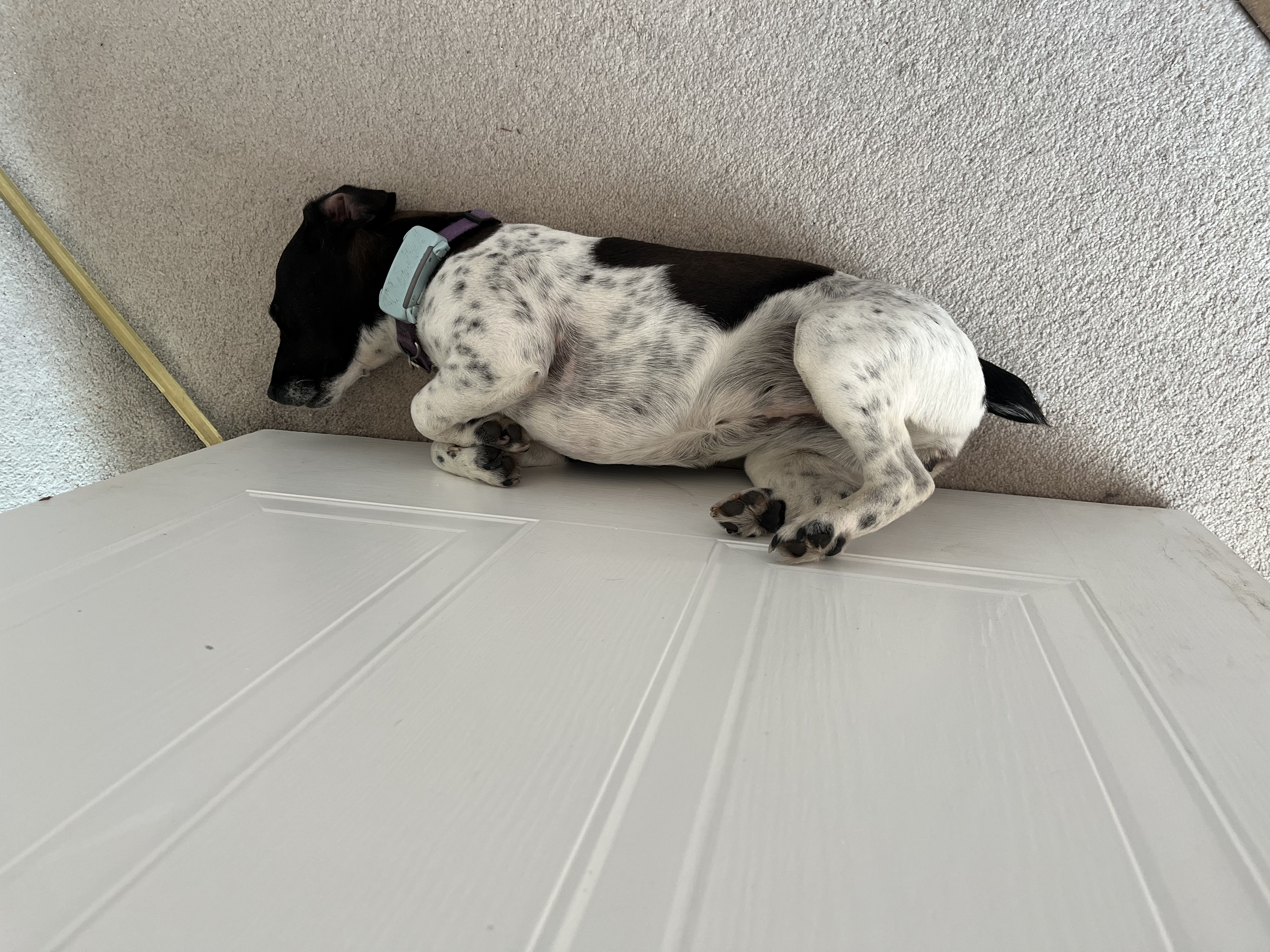 Using the door as a sleep support