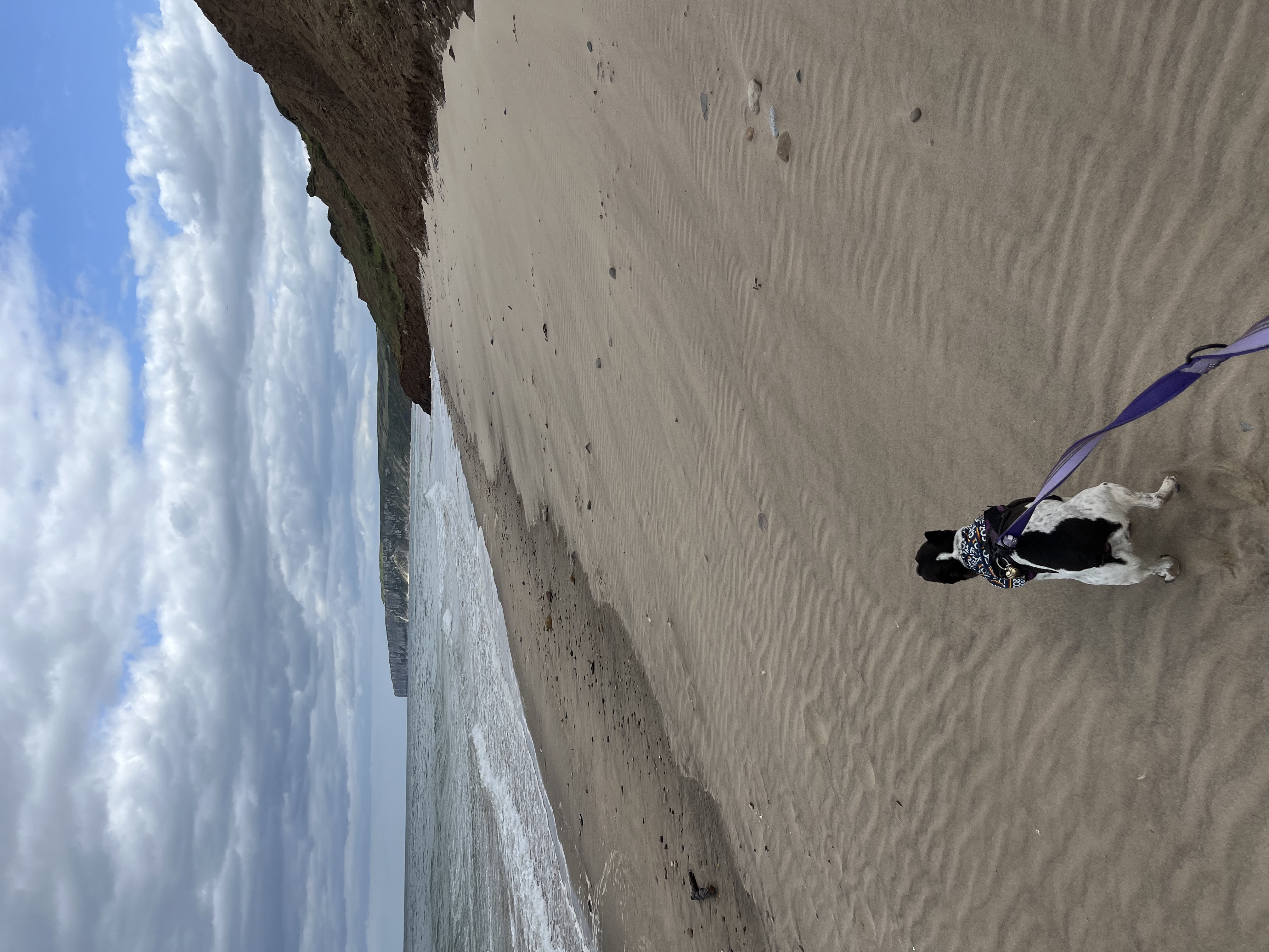 On Hunmanby Gap beach