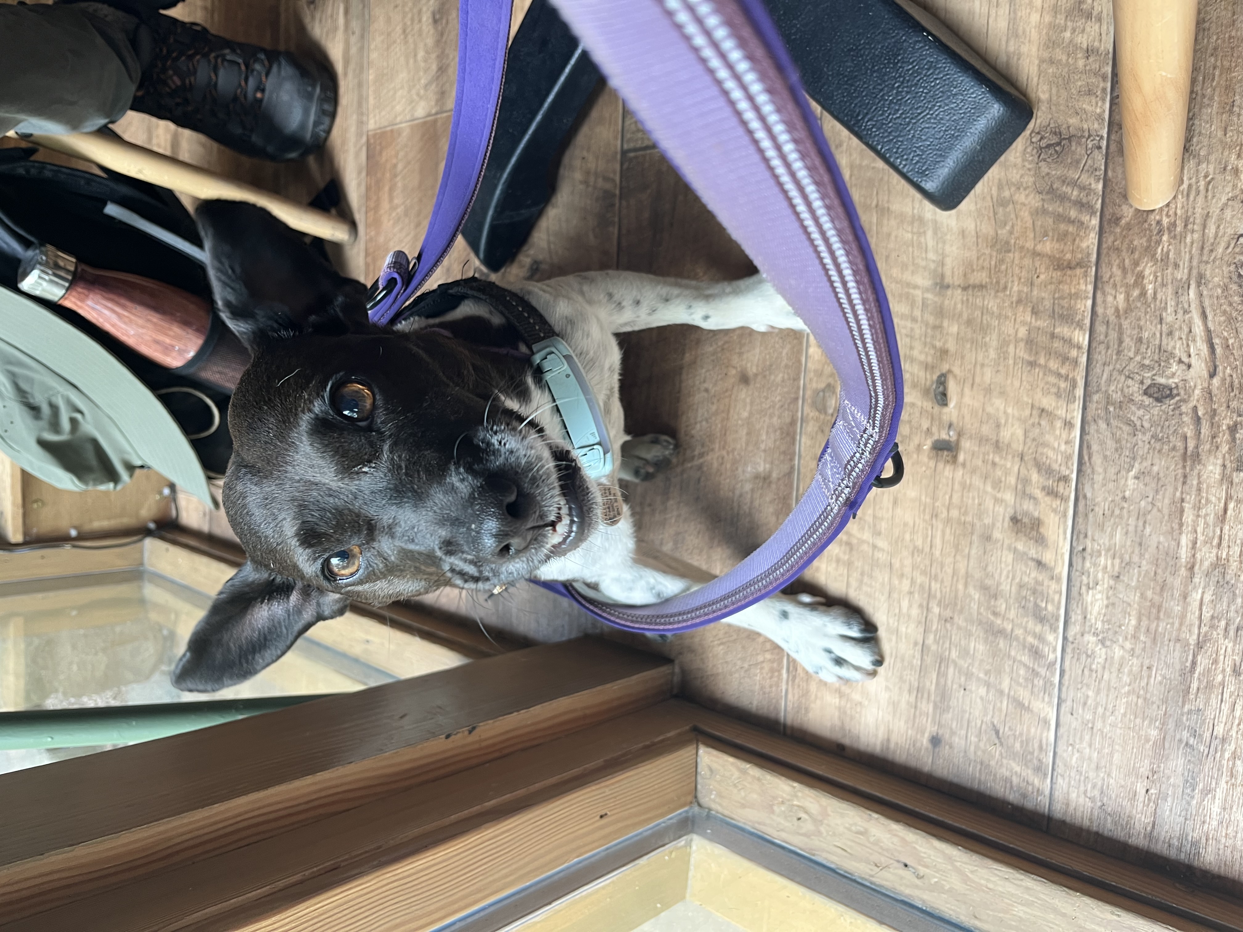 Being a good girl at The Truffled Hog