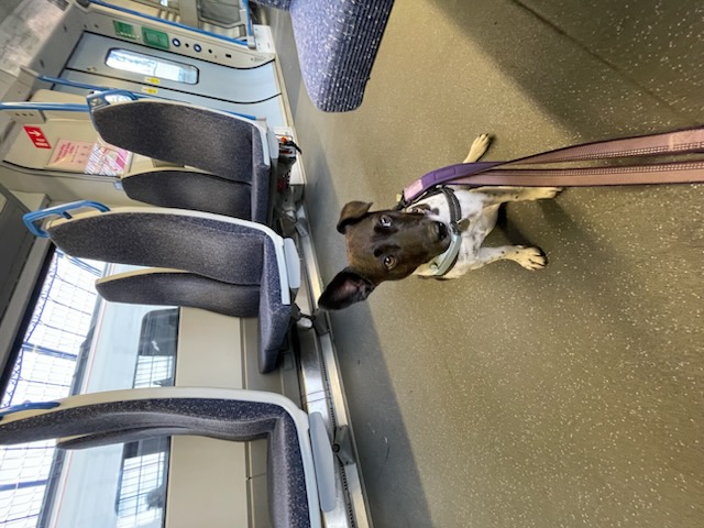 On the 09:58 to Hassocks