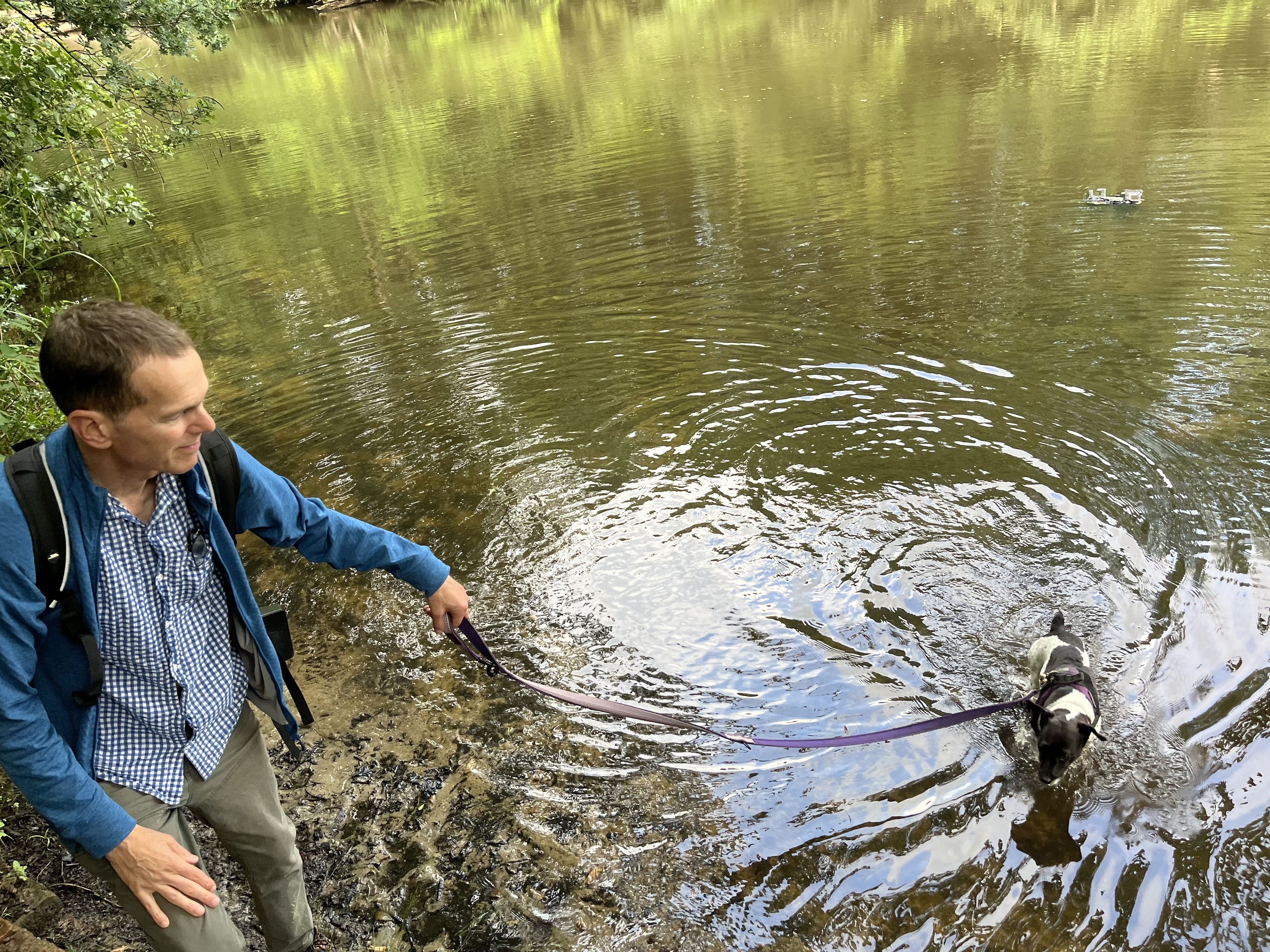 Taking on water at Nymans