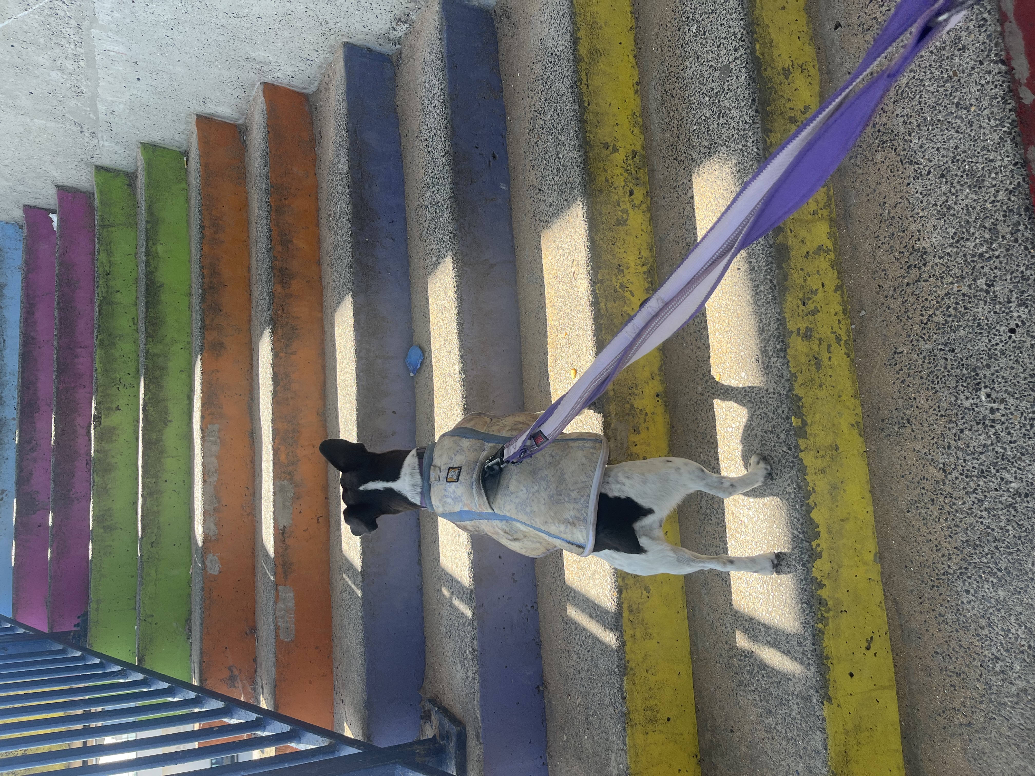 Exploring the multi coloured stairs