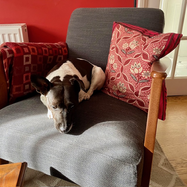 I’m probably not allowed on this chair