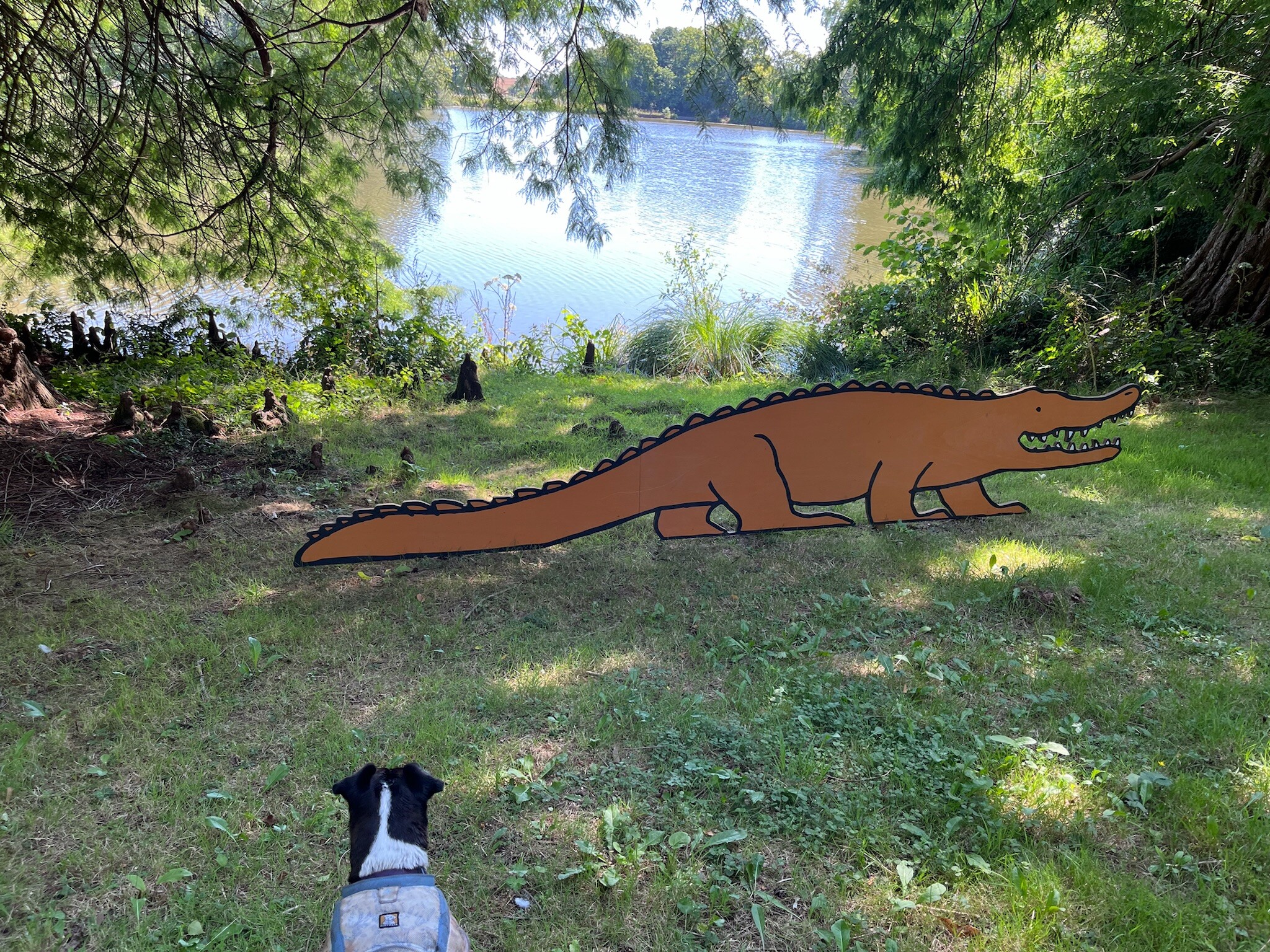 I reckon I could take on this alligator 🐊