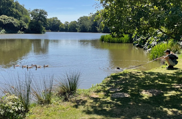 Let me off the lead to see the ducks!