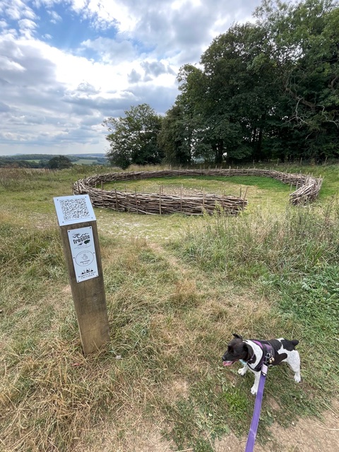 I found a thing in Stanmer Park