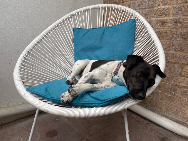 Chillin'