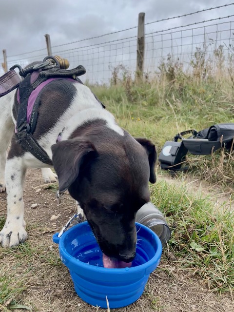 Mid walk refreshments