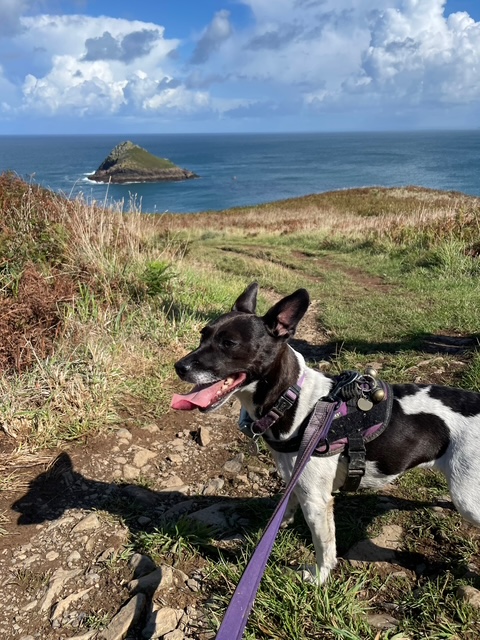 Cornwall exploring
