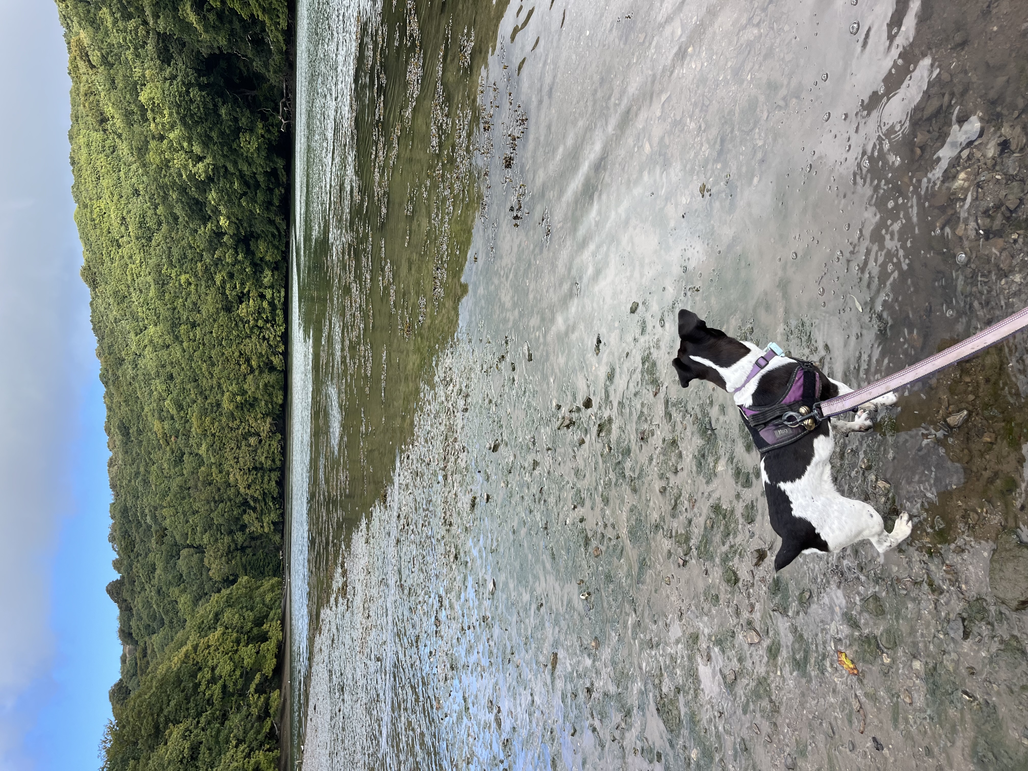 This river looks crossable. Let’s go!