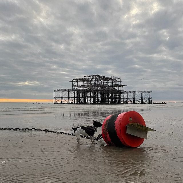 Low tide finds