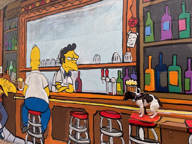 Maybe dogs aren’t allowed in this bar