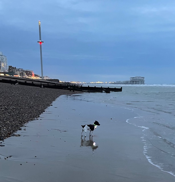 Exploring low tide in low light