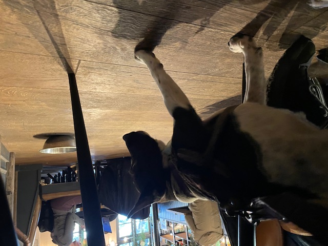 Being a good girl at Trading Post