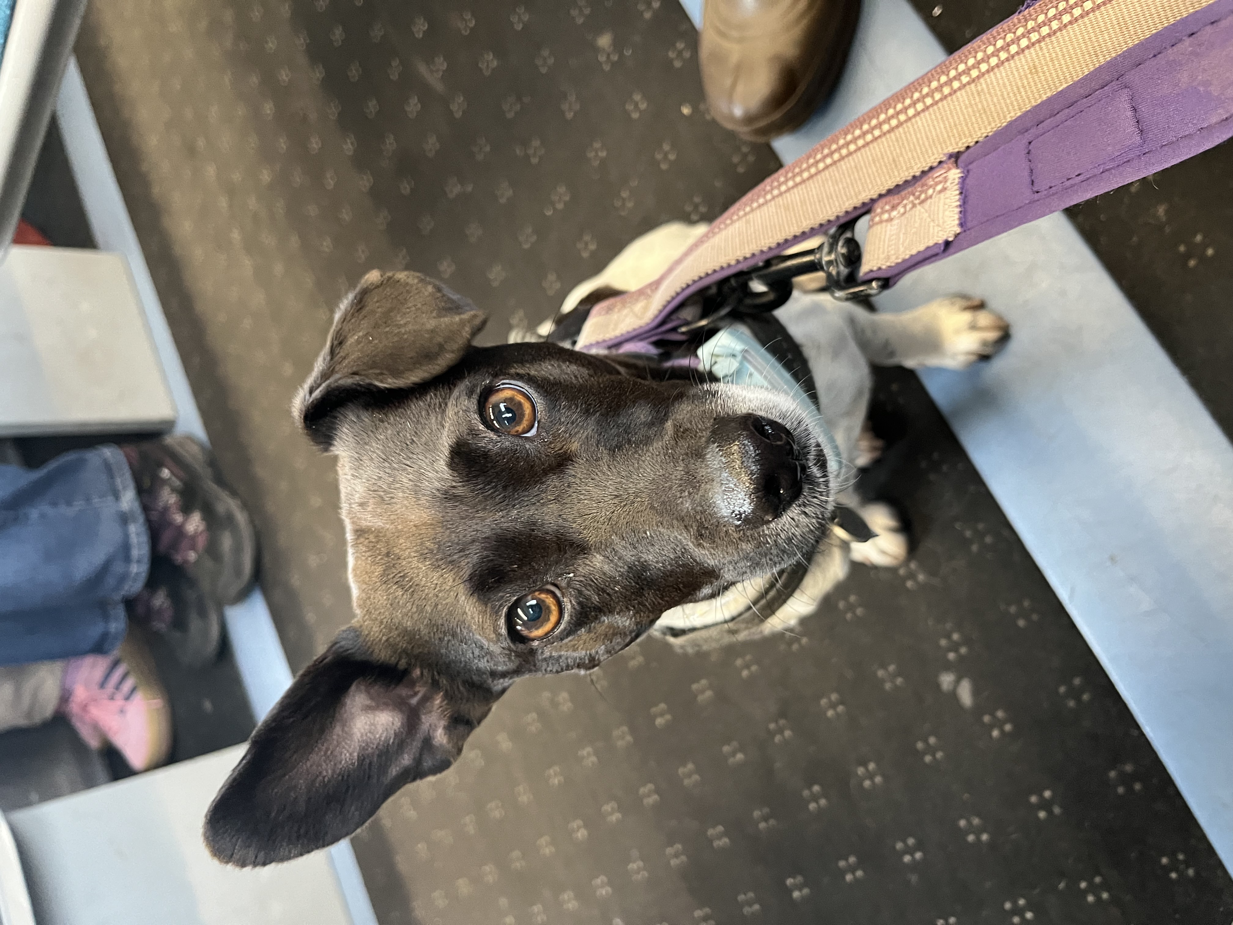 I’m on the 10:43 to Shoreham