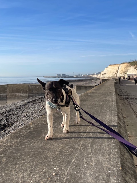 I’m on a sea defence wall