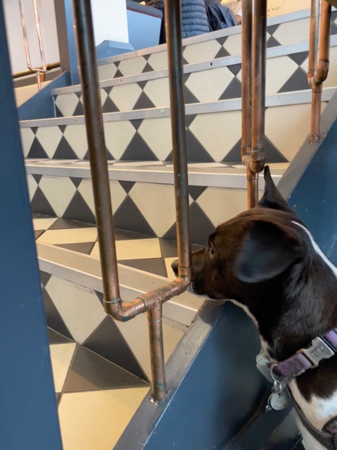 Best table in the house, to keep an eye on cafe happenings