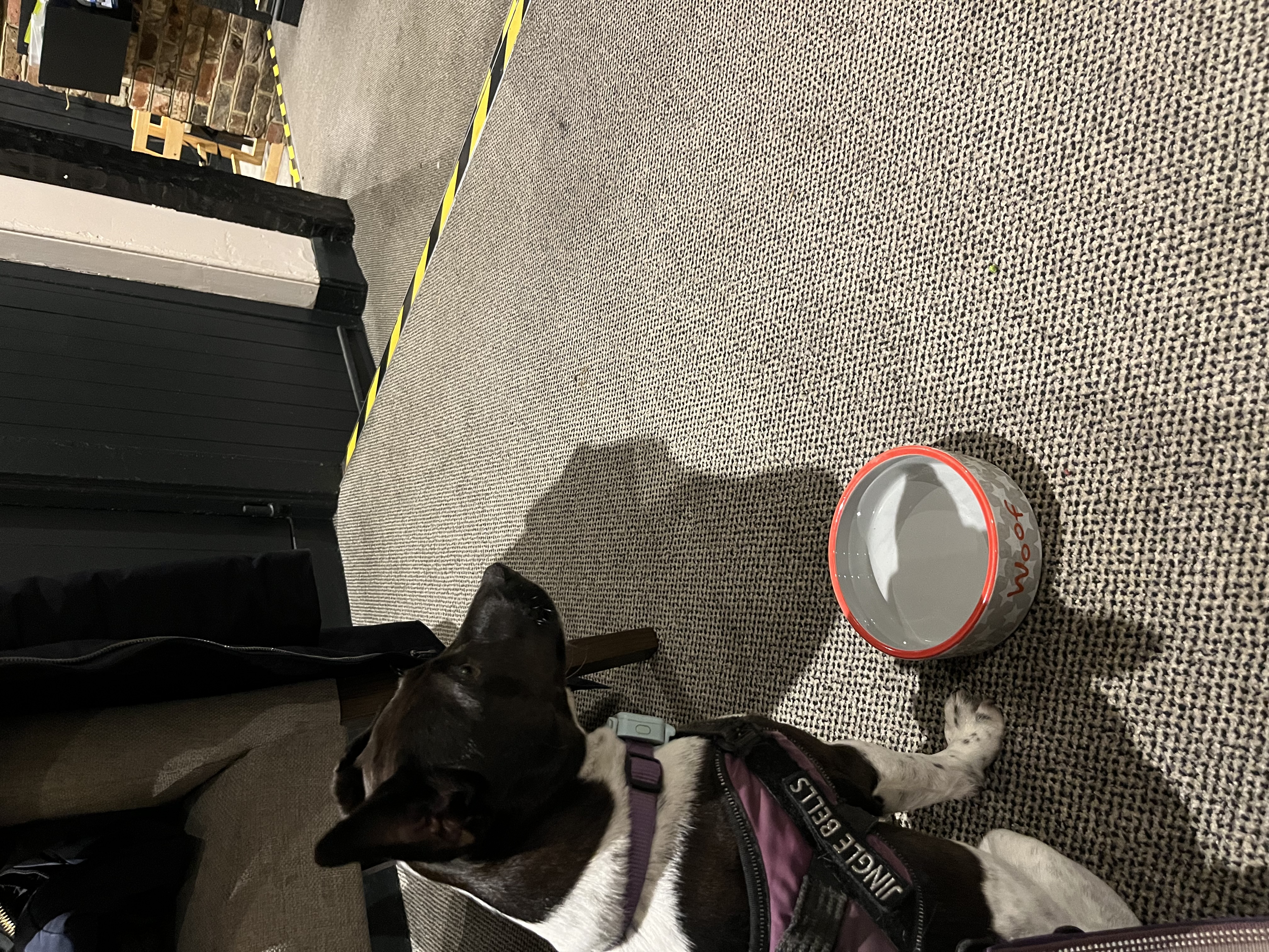 I was a good girl at The Grumpy Mole