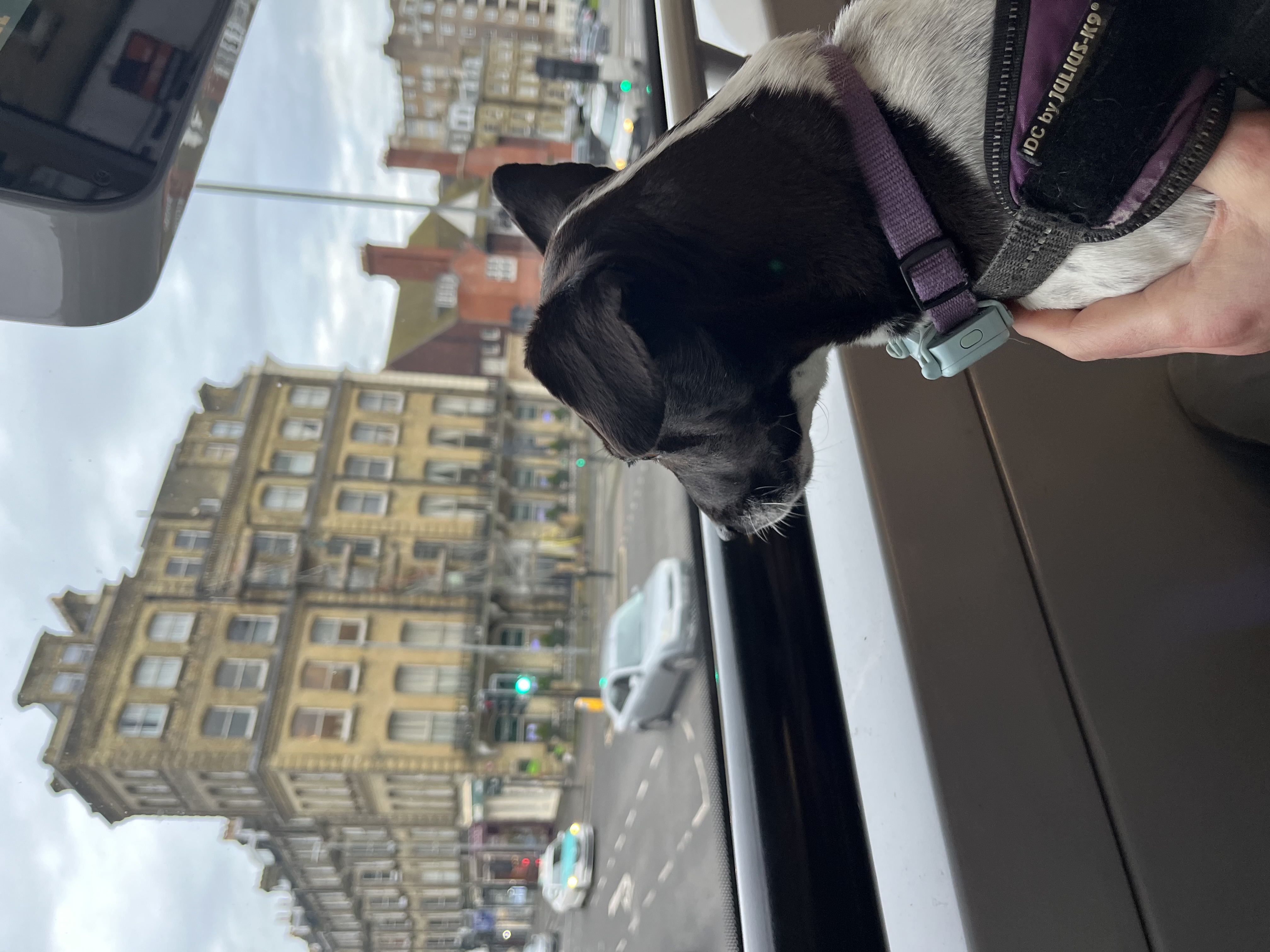 I’m on the 5B in Hove