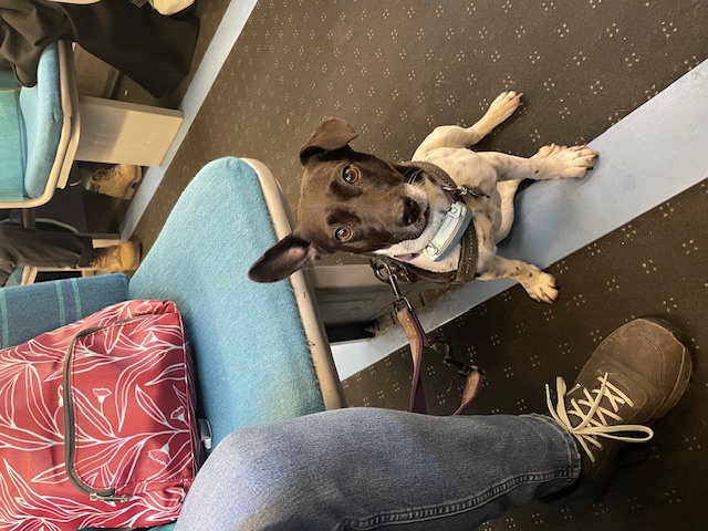 I’m in the 11:26 Southern service to Ore