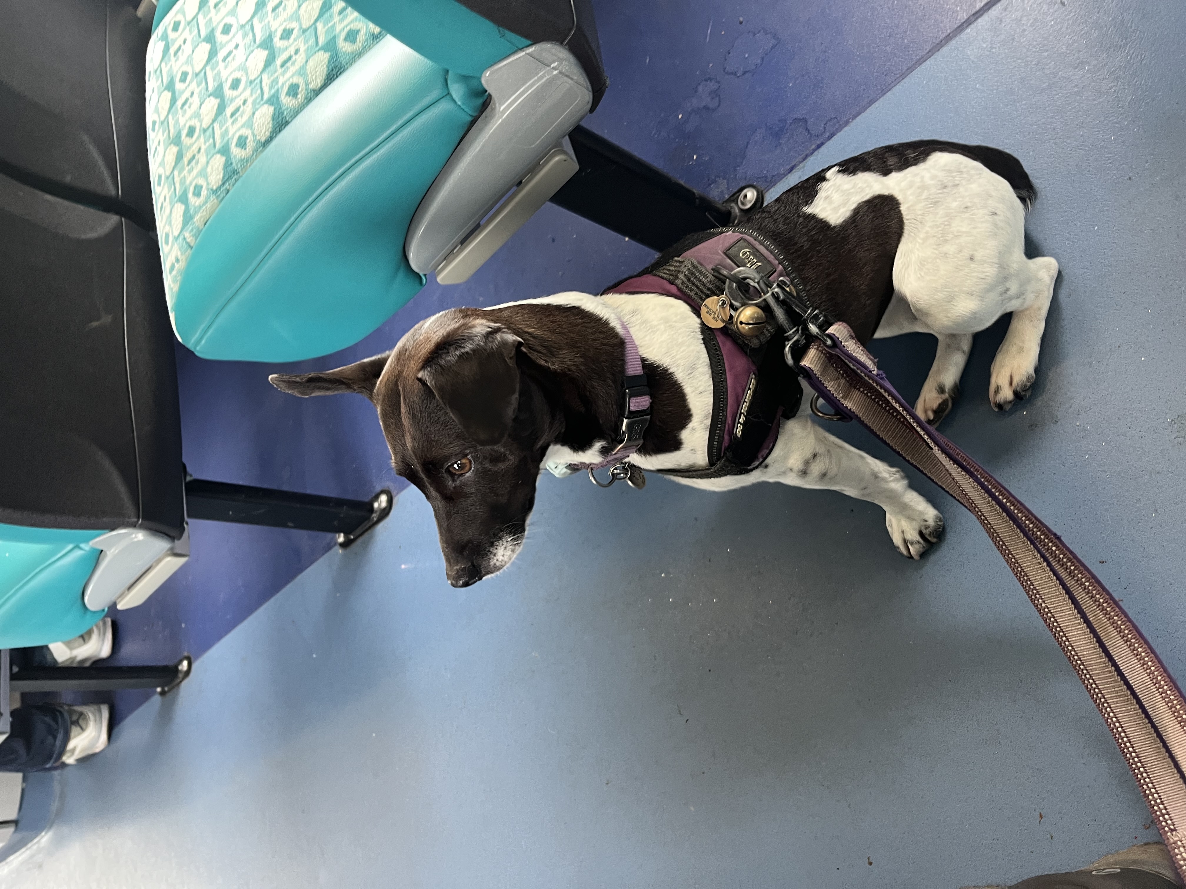 On the 1X to Brighton Marina