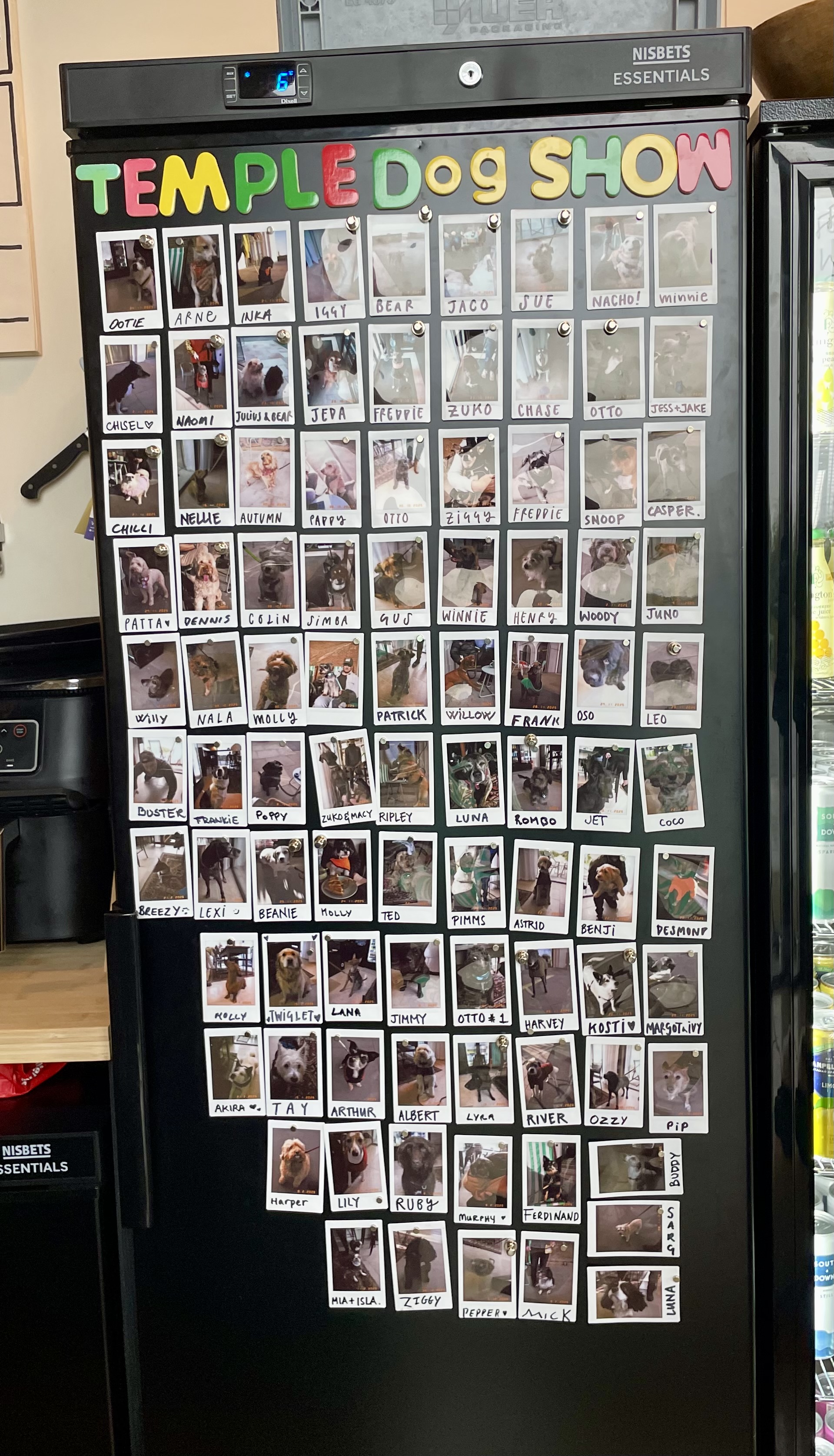 I&rsquo;m on the Temple cafe dog fridge!