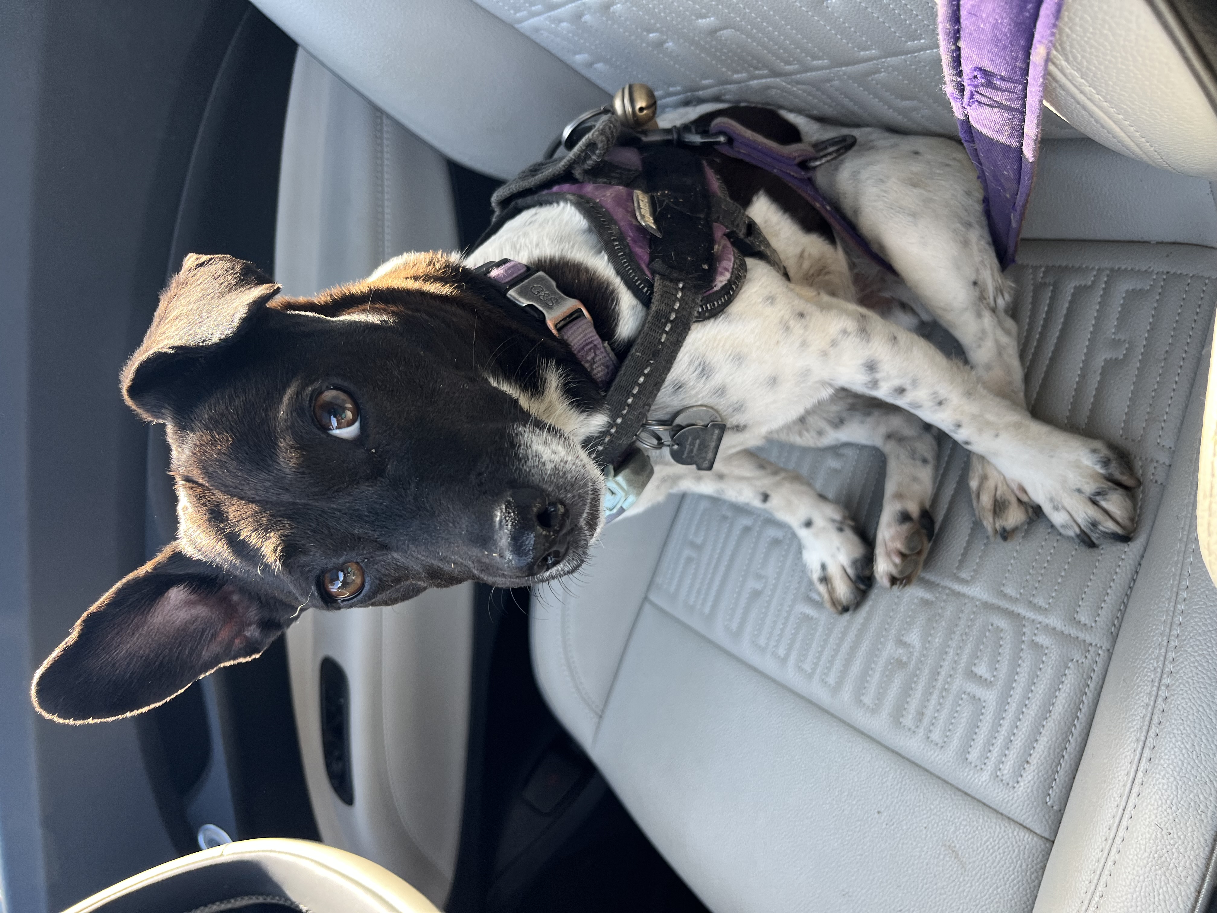 Are you sure you’re ok with me driving?