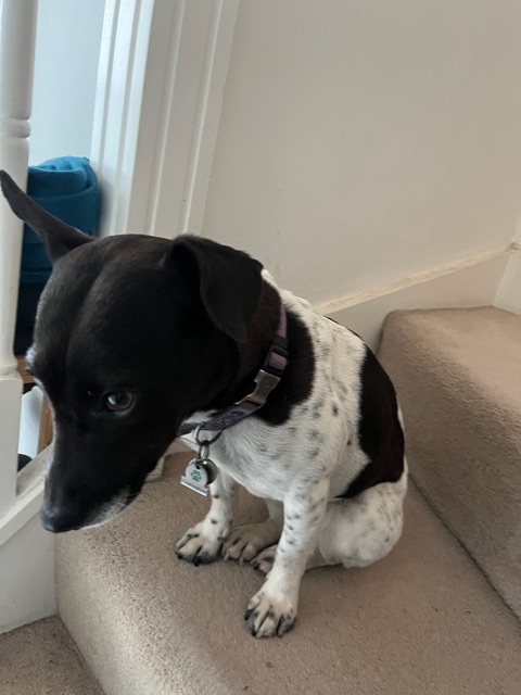 My 9th Paroxysmal Dyskinesias fit